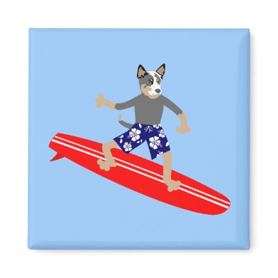 Australian Cattle Dog Surfer Magnet by funnydog