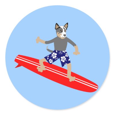 Australian Cattle Dog Surfer Sticker by funnydog