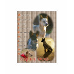 Australian Cattle Dog T-shirt in wood