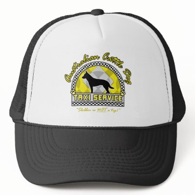 Australian Cattle Dog Taxi Service by MenagerieMayhem