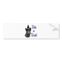 Australian Cattle Dog Trick