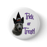 Australian Cattle Dog Trick Buttons