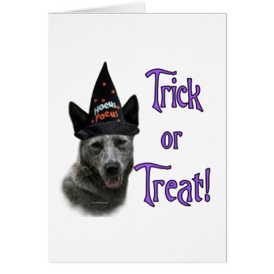 Australian Cattle Dog Trick by GreyWolfCreation