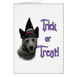 Australian Cattle Dog Trick cards