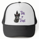 Australian Cattle Dog Trick hats
