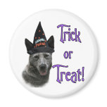 Australian Cattle Dog Trick magnets