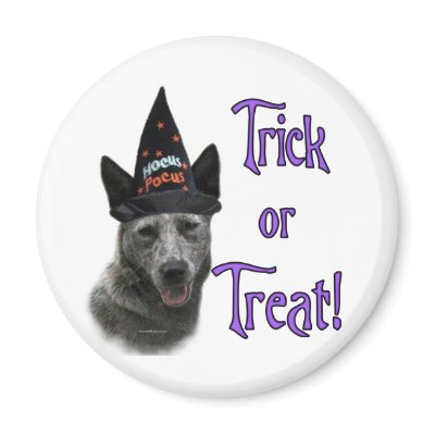 Australian Cattle Dog Trick Refrigerator Magnet by GreyWolfCreation