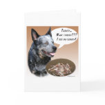 Australian Cattle Dog Turkey Cards