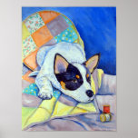 Australian Cattle Dog Wall Print