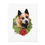 Australian Cattle Dog Wreath Post Card