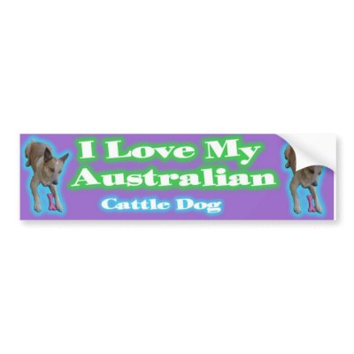 Australian Cattle Dogs. Gotta love'em. Bumper Stickers by soul4ever