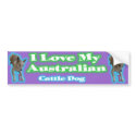 Australian Cattle Dogs. Gotta love'em. bumper stickers