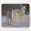 Australian Cattle Dogs Mousepad