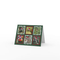 Australian Christmas Animals Greeting Card
