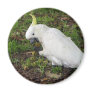 Australian Cockatoo Refrigerator Magnets