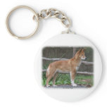 Australian Dingo 9Y209D-268 Keychains