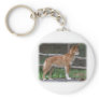 Australian Dingo 9Y209D-268 Keychains