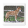 Australian Dingo 9Y209D-268 Fridge Magnets