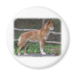 Australian Dingo 9Y209D-268 Magnet