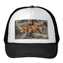 Australian Dingo Hat