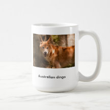 Australian dingo mug
