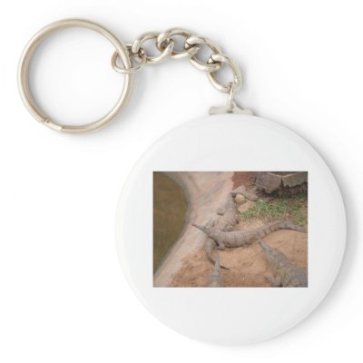 Australian Freshwater Crocodile Key Chain by Furgal
