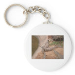 Australian Freshwater Crocodile keychains