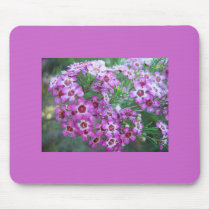 Australian Geralton Wax Mouse Pad