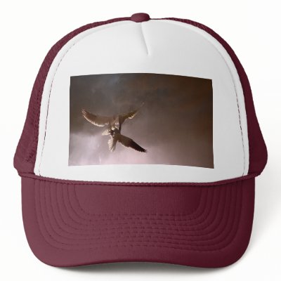 Australian Hawk Cap Mesh Hat by PhotoPixie