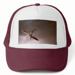 Australian Hawk Cap hats