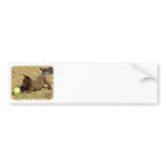 Australian Kelpie 9P022D-010 Bumper Sticker