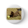 Australian Kelpie 9P022D-010 Button