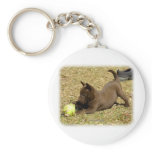 Australian Kelpie 9P022D-010 Key Chain