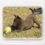 Australian Kelpie 9P022D-010 Mouse Pad