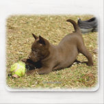 Australian Kelpie 9P022D-010 mousepads