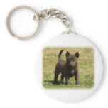 Australian Kelpie 9P022D-025 Key Chain