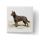 Australian Kelpie 9P21D-247 Buttons