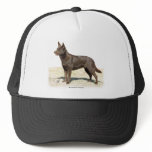 Australian Kelpie 9P21D-247 Mesh Hats