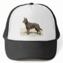 Australian Kelpie 9P21D-247 Mesh Hats