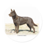 Australian Kelpie 9P21D-247 Stickers
