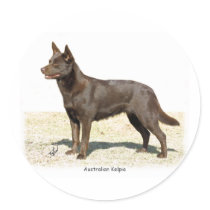 Australian Kelpie 9P21D-247 Stickers