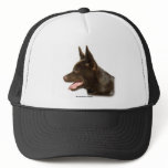 Australian Kelpie 9P24D-134 Mesh Hats