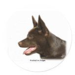 Australian Kelpie 9P24D-134 Sticker