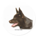 Australian Kelpie 9P24D-134 stickers