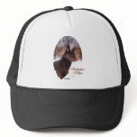 Australian Kelpie Christmas Gifts Mesh Hats