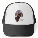 Australian Kelpie Christmas Gifts hats