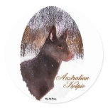 Australian Kelpie Christmas Gifts Sticker