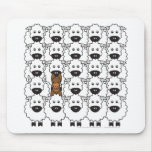 Australian Kelpie in the Sheep Use Pad