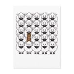 Australian Kelpie in the Sheep Post Cards