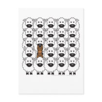 Australian Kelpie in the Sheep Post Cards